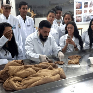 Leia mais sobre o artigo Aula de anatomia com estudantes de Medicina Veterinária