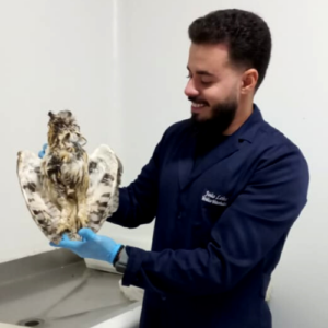 Leia mais sobre o artigo Fala VET: Professor Ensina Dissecar uma Coruja