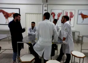 Leia mais sobre o artigo Alunos são clicados na aula de Anatomia Topográfica