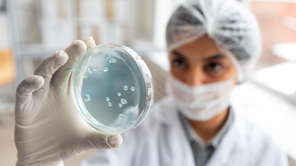 Você está visualizando atualmente 10 Situações Que Todo Estudante de Biomedicina Já Viveu